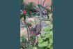 Miniatura Albert Kuip poltrona da giardino nera 4