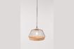 Miniatura Birdy Sospensione grande 9