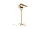 Miniatura Falcon Lampada da scrivania in ottone Foto ritagliata