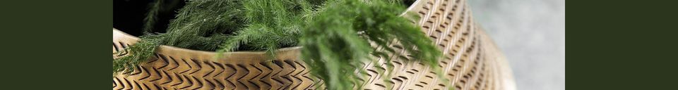 Materiali prima di tutto Fioriera in alluminio con finitura in ottone Rattan