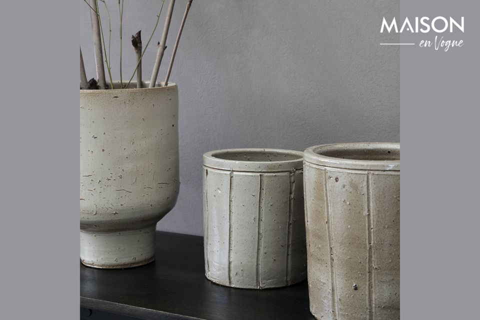 Per cambiare i tradizionali vasi di ferro o di argilla e dare un tocco decorativo alle vostre piante
