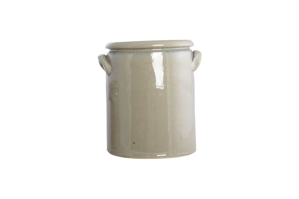 Per godere delle vostre piante in casa senza dover sopportare i tradizionali vasi di argilla privi