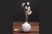 Miniatura Houlle Piccolo vaso di ceramica bianca 1
