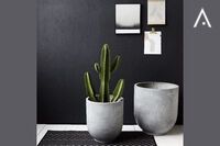 Oggetti decorativi Woood