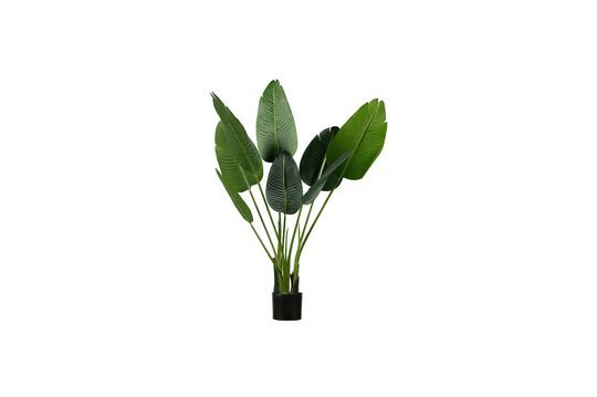 Pianta artificiale Strelitzia