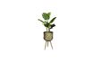 Miniatura Pianta botanica Stand dimensione M 11