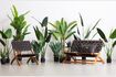Miniatura Pianta verde artificiale Strelitzia 2