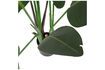 Miniatura Pianta verde artificiale Strelitzia 4