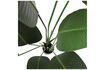 Miniatura Pianta verde artificiale Strelitzia 5