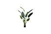 Miniatura Pianta verde artificiale Strelitzia 1