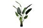 Miniatura Pianta verde artificiale Strelitzia Foto ritagliata