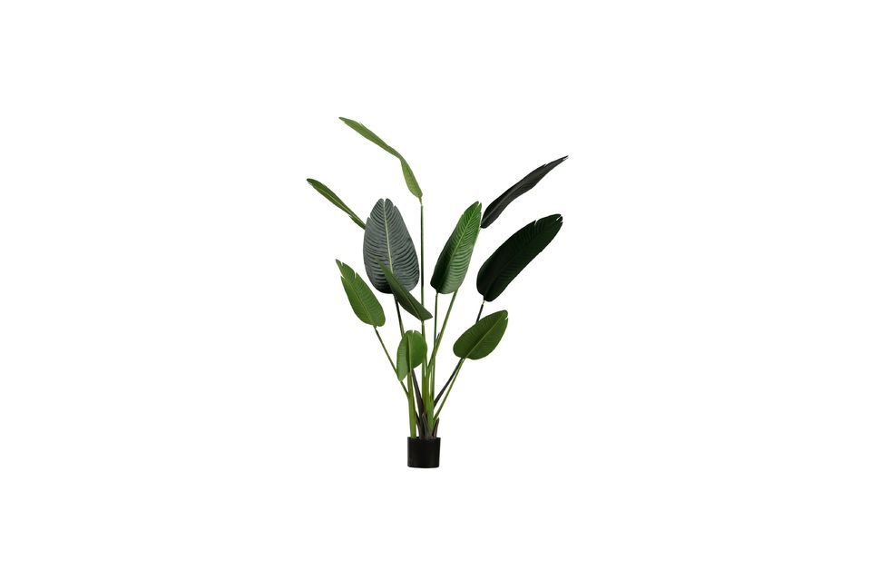 Pianta verde artificiale Strelitzia Woood