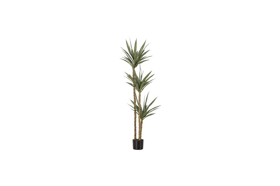 La pianta artificiale verde Yucca fa parte della collezione del marchio olandese di interior design