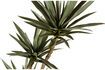 Miniatura Pianta verde artificiale Yucca 4
