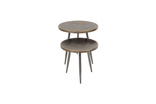 Serie di 2 Flaxieu tavolini in metallo spazzolato Foto ritagliata