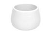 Miniatura Tazza Porcelino Square 1